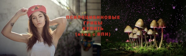 ECSTASY Балабаново